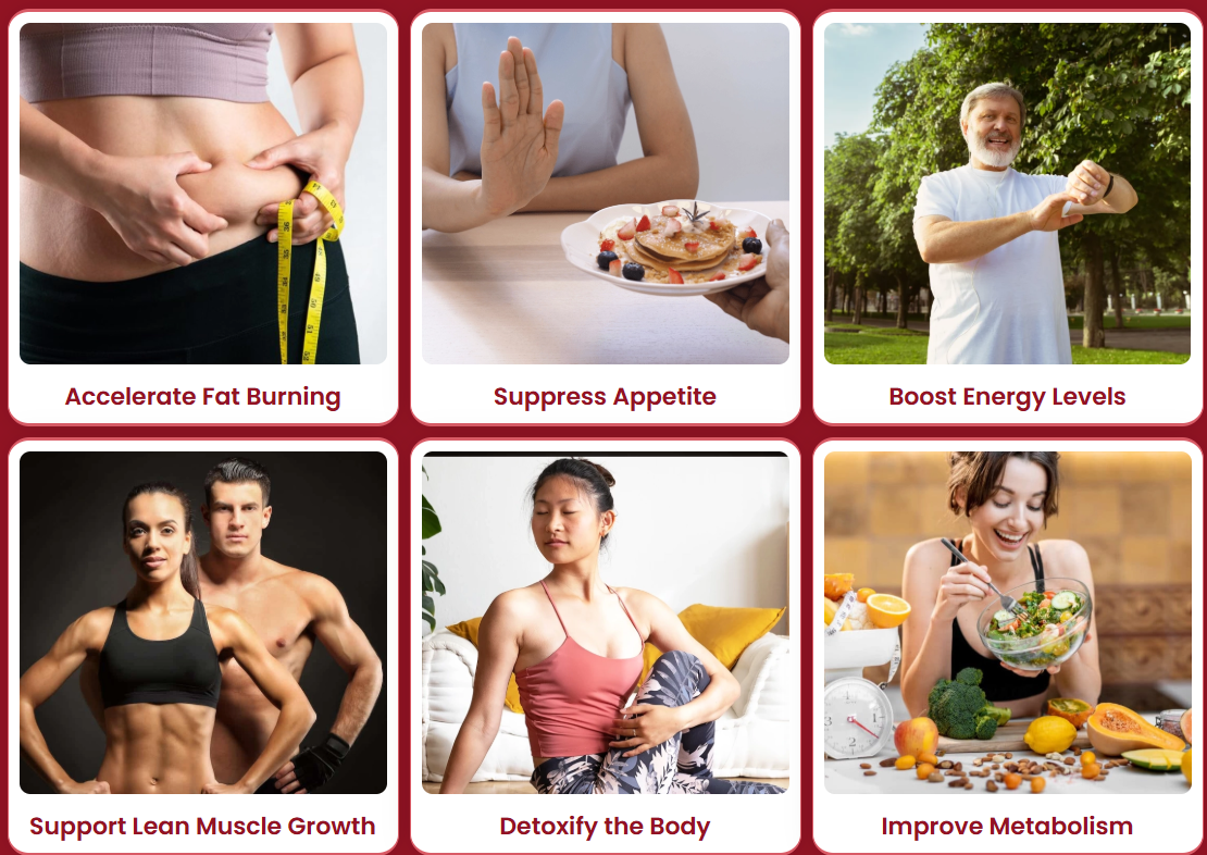 Gelataro benefits: fat burning, appetite, energy, metabolism